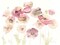 Delicate Poppies Poster Print by Danhui Nai - Item # VARPDX38230
